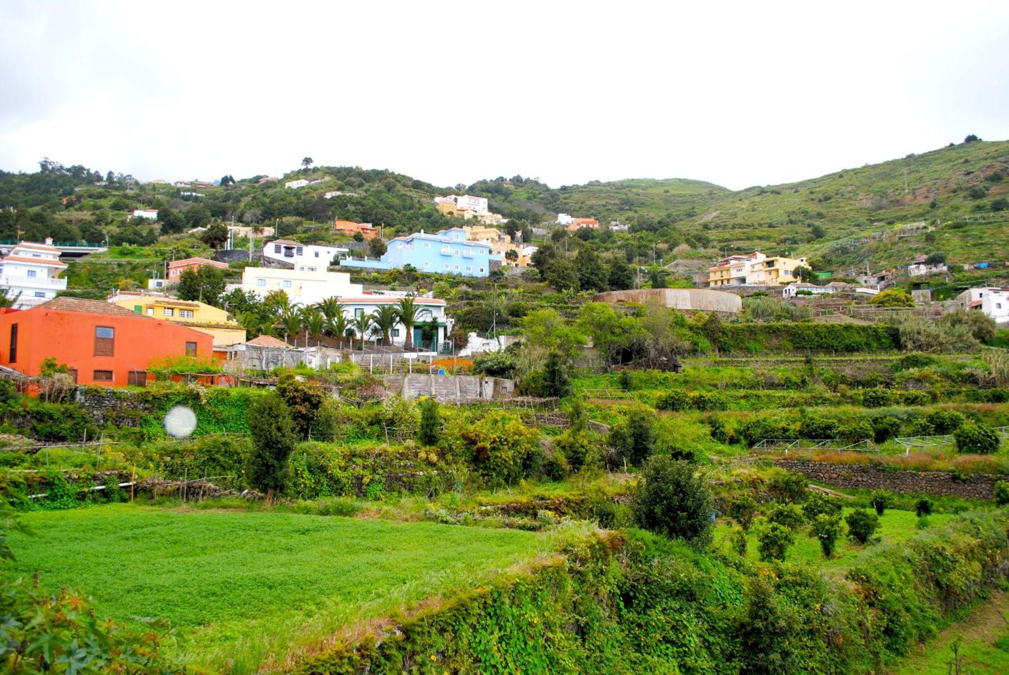 Cozy House Casa De Los Abuelos In Icod De Los Vinos By Hrtenerife Net Exterior foto
